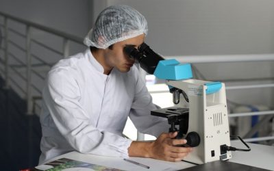 testosteron bărbați
