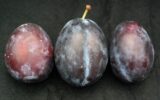 Prunul Black Star